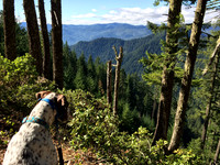 Hiking Panther Ridge