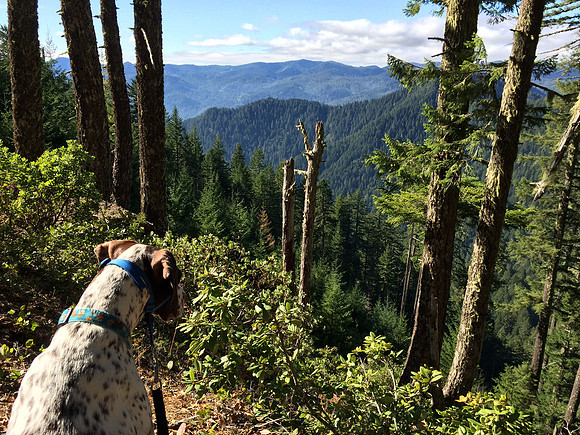 Hiking Panther Ridge