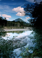 Quinault River