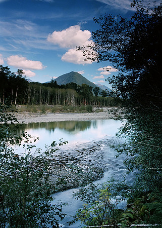 Quinault River