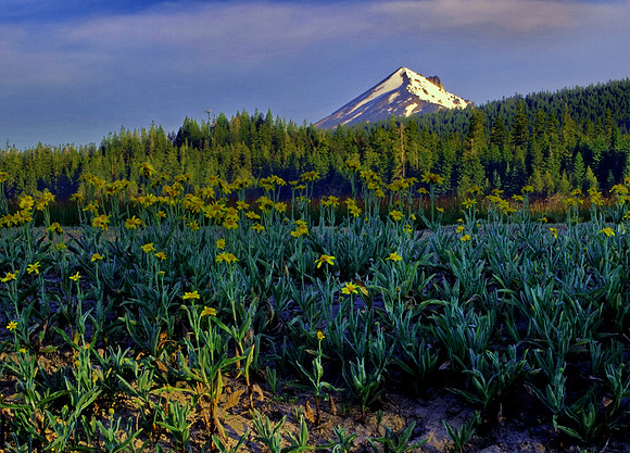 Mt. McLoughlin sunrise from Great Meadow