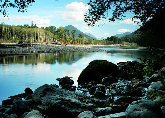 Quinault River