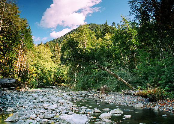 Creek