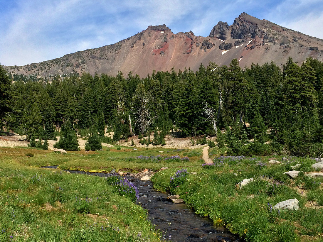 Stream and wild flowers in front of Broken Top
