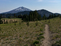 Bachelor and Todd Lake trail