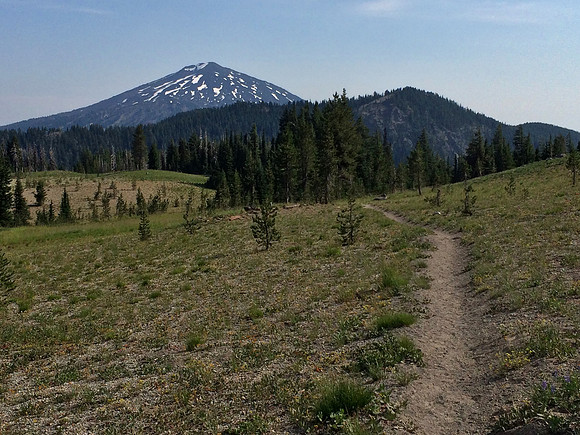 Bachelor and Todd Lake trail