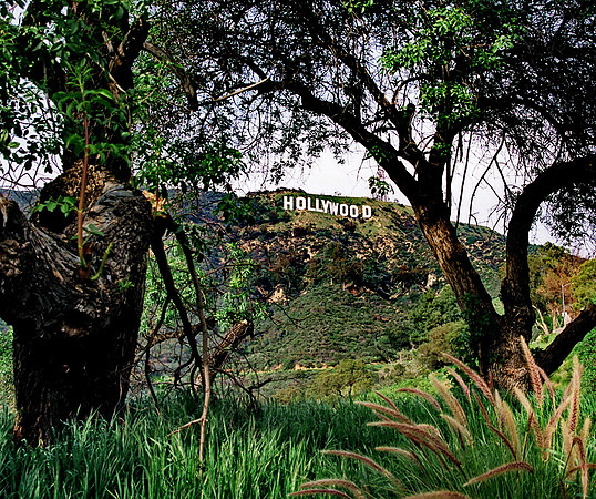 Hollywood