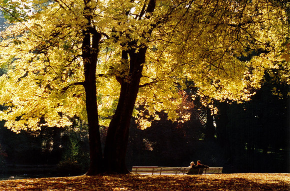 Laurelhurst 2