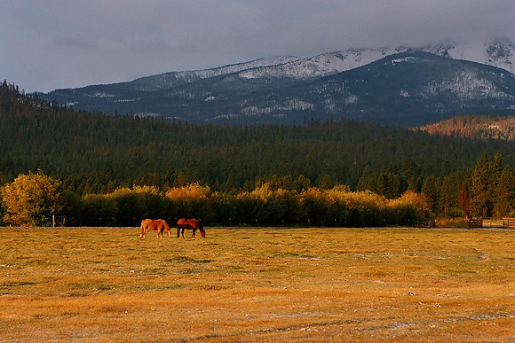Black Butte Ranch 2