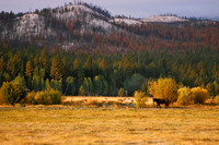 Black Butte Ranch 1