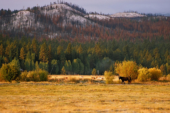 Black Butte Ranch 1