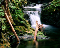 Willaby Creek