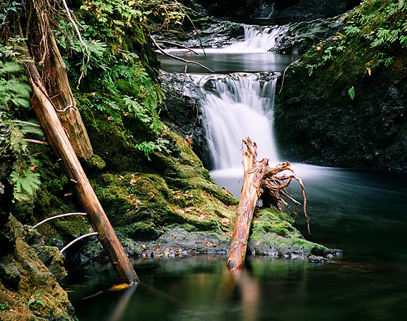 Willaby Creek