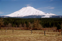 Mt Adams