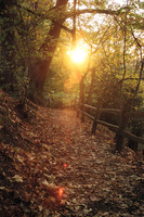 Oaks Bottom
