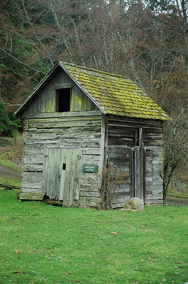 Shed