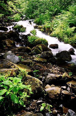 Columbia River Gorge