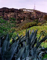 Hollywood