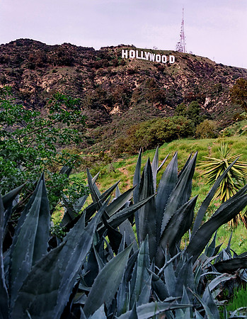 Hollywood